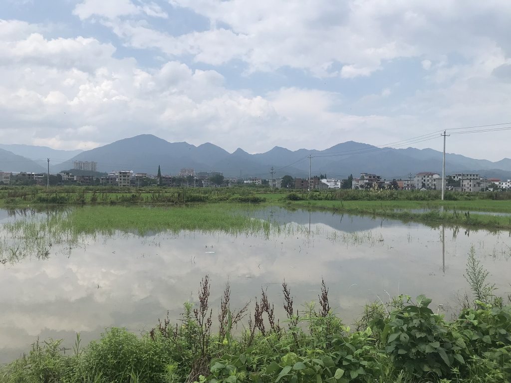 Jinggangshan Travel Guide: Best Things to Do, Red Tourism Sites & Hiking Trails