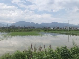 Jinggangshan Travel Guide: Best Things to Do, Red Tourism Sites & Hiking Trails