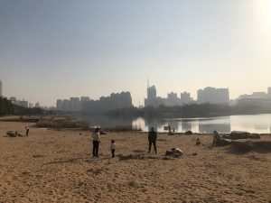 Xinyu for First-Timers: What to Expect and How to Order
