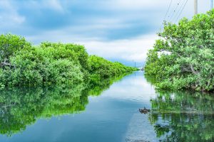 Taijiang Guizhou Travel Guide: Miao Villages, Festivals, and Where to Stay