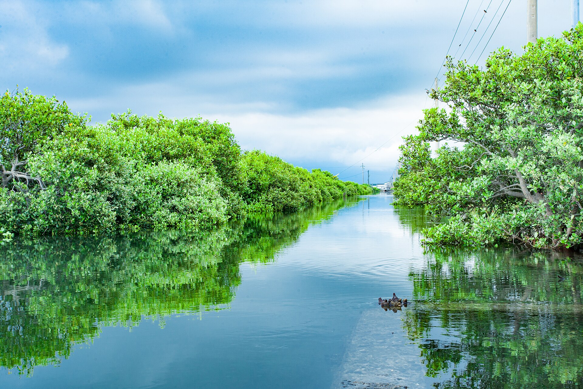 Taijiang Guizhou Travel Guide: Miao Villages, Festivals, and Where to Stay