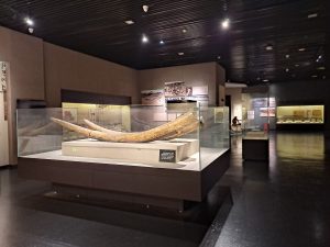 Tangshan Travel Guide: Top Attractions, Earthquake Memorial, Beaches & Food