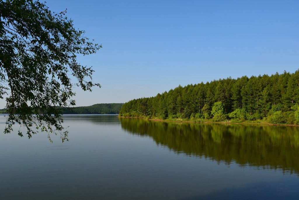 Jingyuetan National Forest Park Travel Guide: Best Things to Do, Tickets & How to Get There
