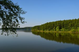Jingyuetan National Forest Park Travel Guide: Best Things to Do, Tickets & How to Get There