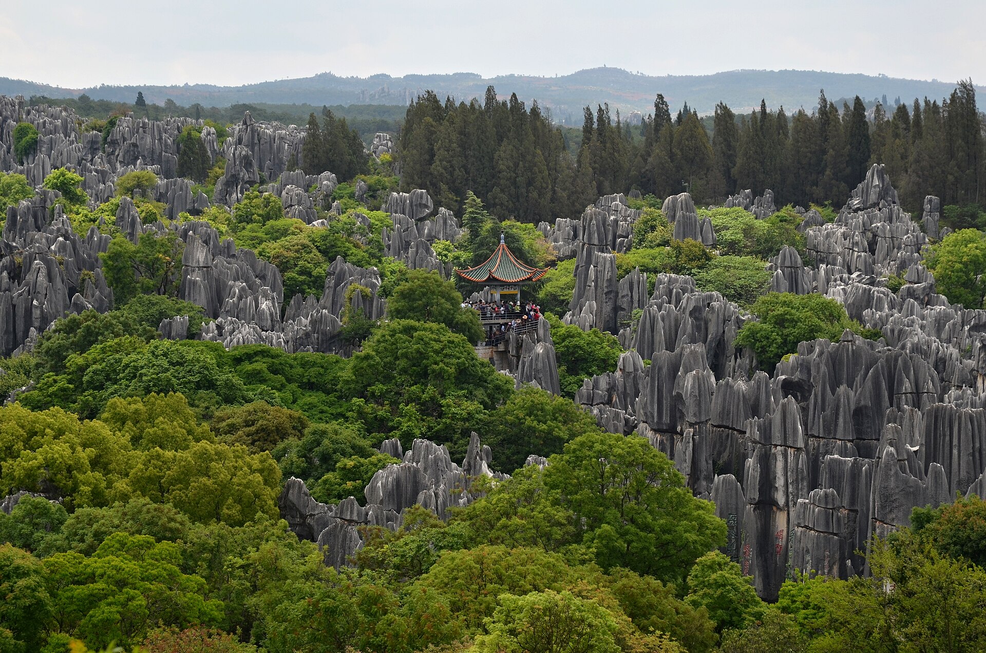 Shilin Stone Forest Travel Guide: Best Time to Visit, Tickets, How to Get There