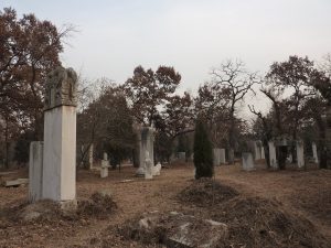 Yanjin County Travel Guide: Where Is It, How to Get There & Top Things to Do