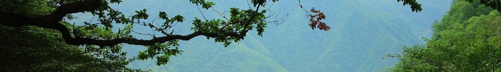 Kongtongshan National Park Travel Guide: Hiking Trails, Cable Cars, Taoist Temples, Best Time to Visit