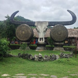 Libo County for First-Timers: What to Expect and How to Order