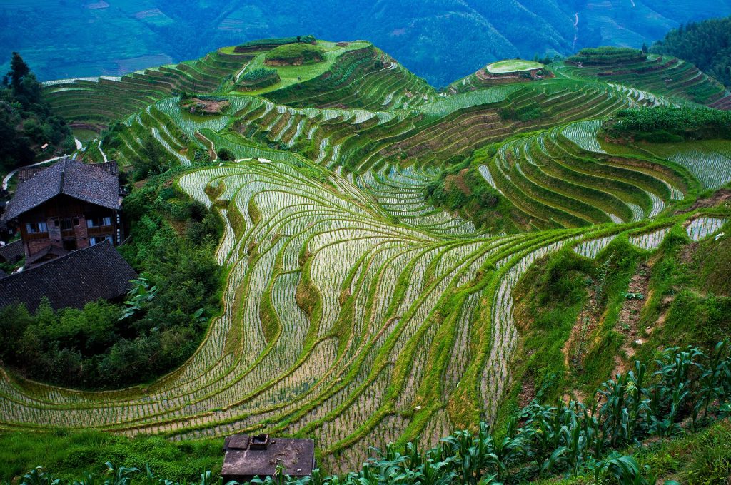Longsheng for First-Timers: What to Expect and How to Order