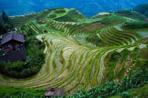 Longsheng for First-Timers: What to Expect and How to Order