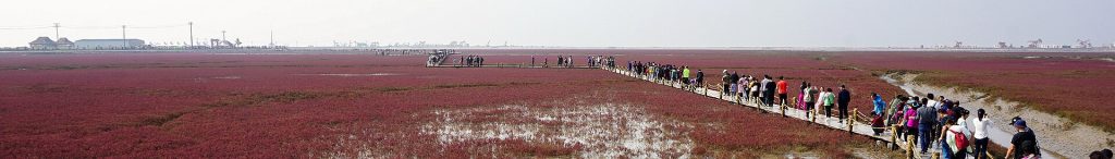 Panjin Red Beach Travel Guide: Best Time to Visit, How to Get There, Top Things to Do