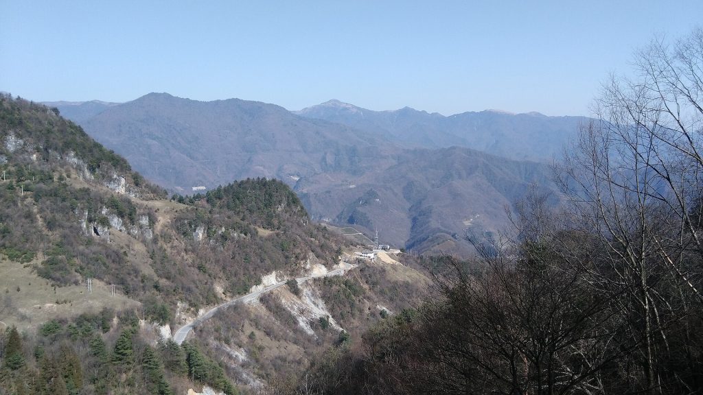 Shennongjia Forestry District Travel Guide: Where to Go, Hiking Trails, Wildlife Spotting, Best Time to Visit
