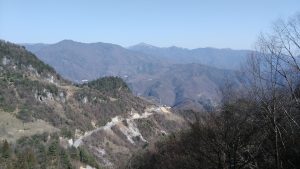 Shennongjia Forestry District Travel Guide: Where to Go, Hiking Trails, Wildlife Spotting, Best Time to Visit