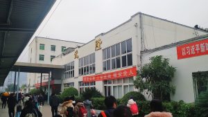 Wulong Karst Travel Guide: Where to Go, What to See, How to Plan