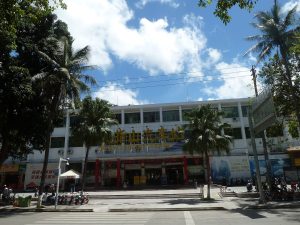 Wuzhishan Travel Guide: Where to Go, Hiking Trails, Rainforest Tours, Li Villages, Hainan Island