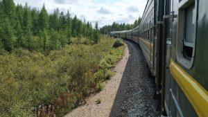 Yakeshi Travel Guide: Where to Go in Inner Mongolia’s Forest City
