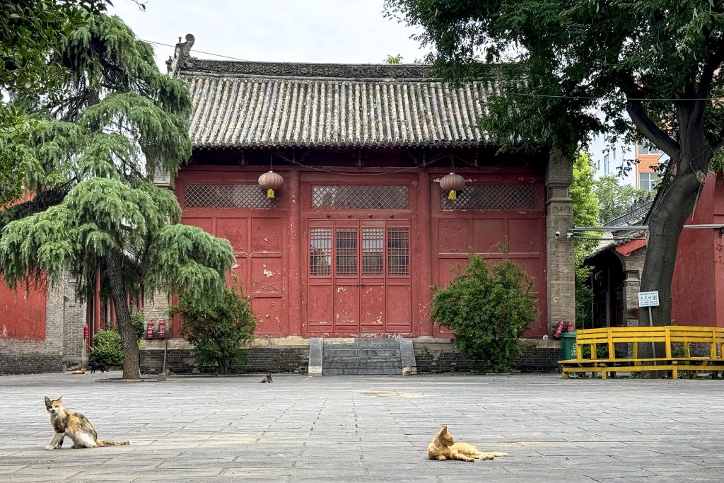 Ruzhou Travel Guide: Where to Go, Top Attractions & Trip Tips