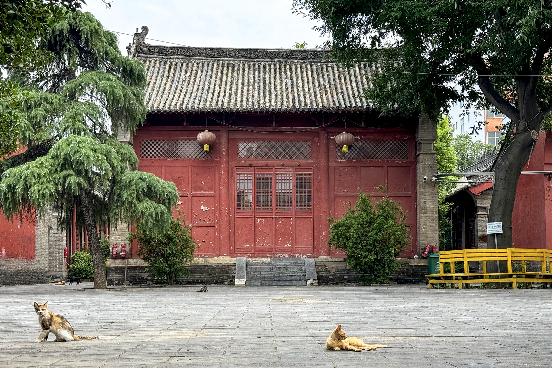 Ruzhou Travel Guide: Where to Go, Top Attractions & Trip Tips
