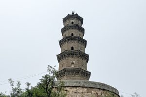 Baishan for First-Timers: What to Expect and How to Order