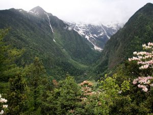 Yubeng Village Travel Guide: Hiking Trails, How to Get There, Where to Stay