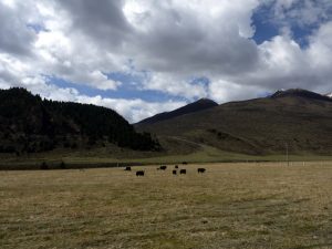 Manigango Travel Guide: Where Is It, Altitude, Monastery & Overland Route