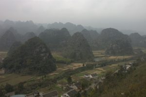 Xingyi for First-Timers: What to Expect and How to Order