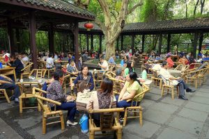 Outdoor teahouse seating under trees in People's Park, Chengdu