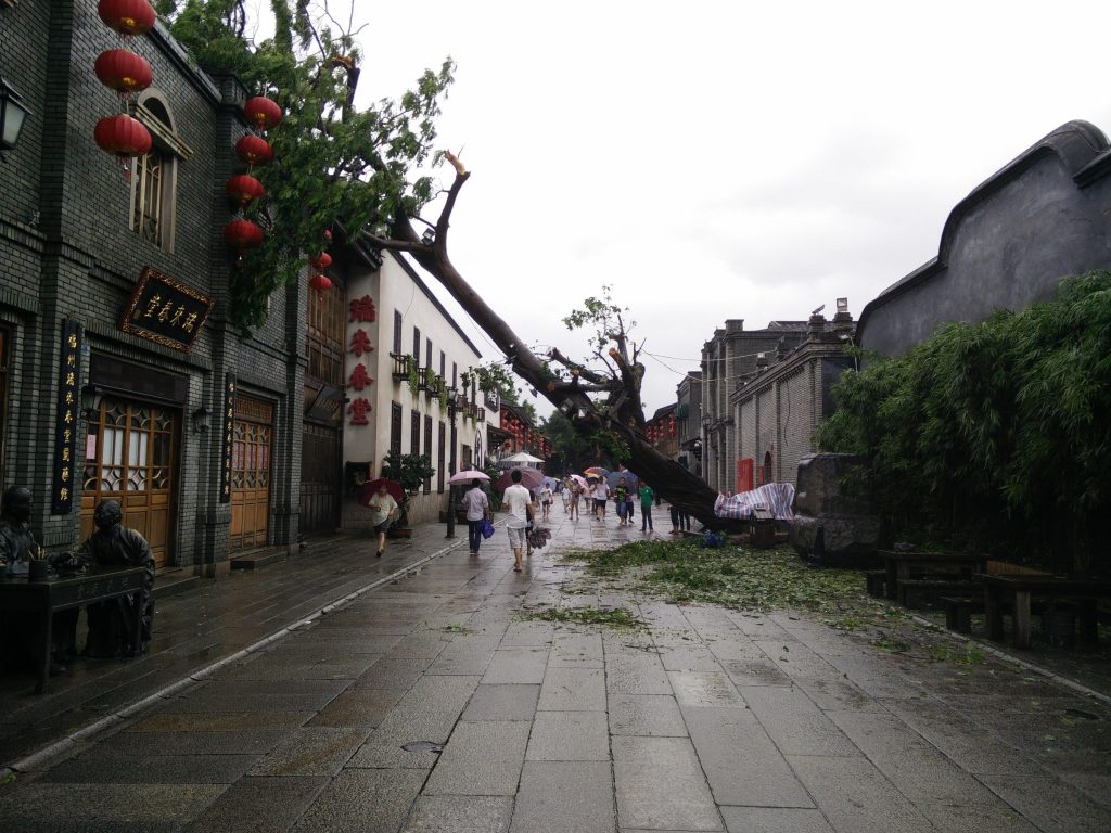 Fuzhou First Visit Guide for English Speakers Autumn 2026