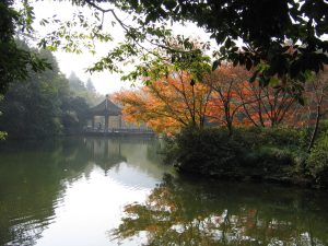 Misty creek and forest path at Jiuxi (Nine Creeks) near West Lake, Hangzhou