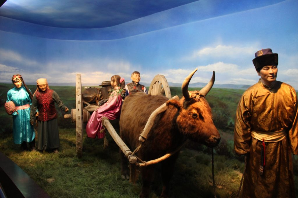 Hohhot Grassland Autumn Colors Day Trip Guide