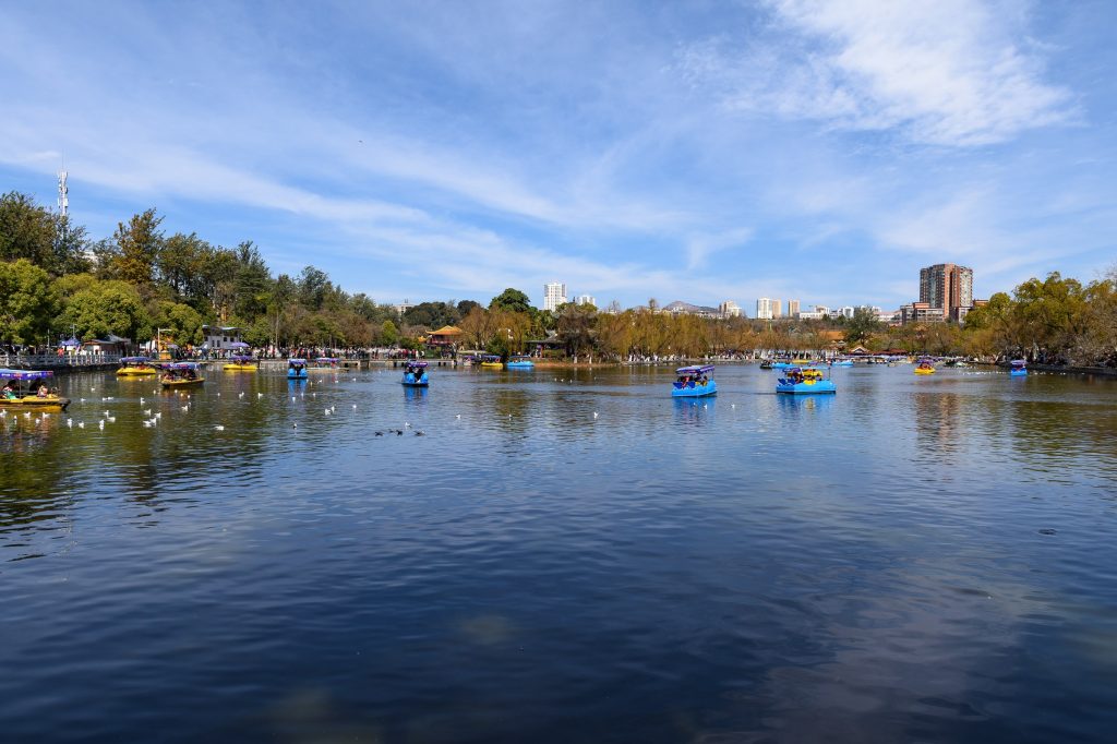 Kunming First Visit in Autumn Before Golden Week 2026