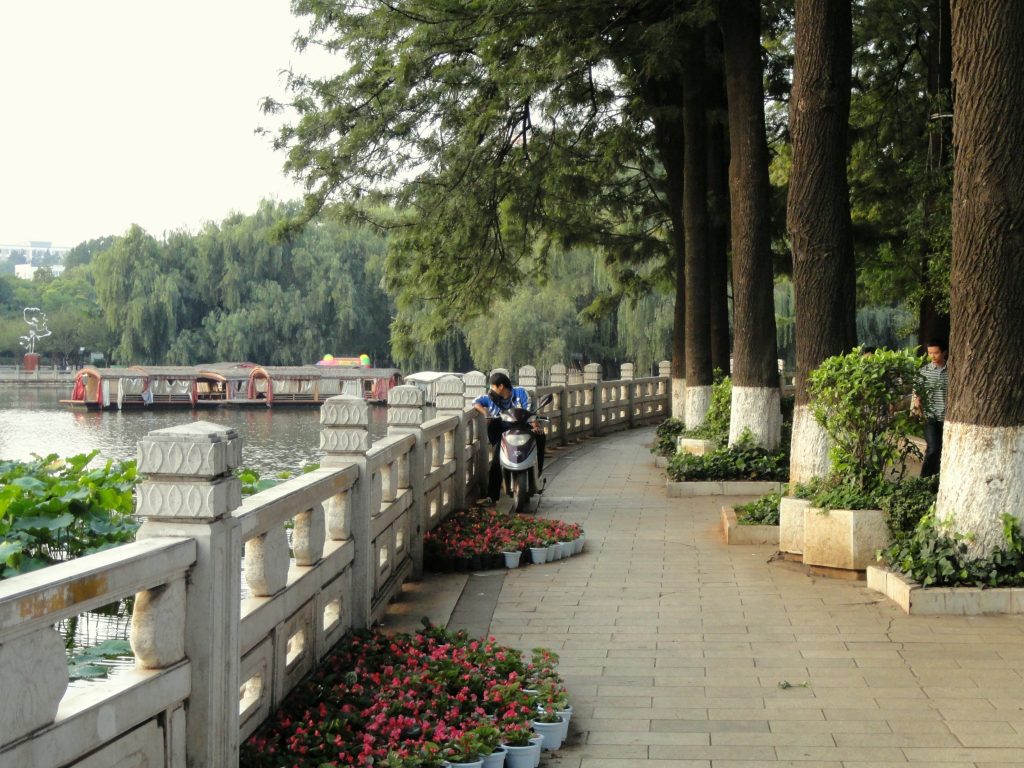 Willow-lined path and water at Green Lake Park (Cuihu) in Kunming