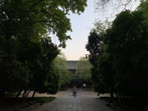 Tree-framed courtyard and green-tiled hall at Linggu Temple on Nanjing’s Purple Mountain