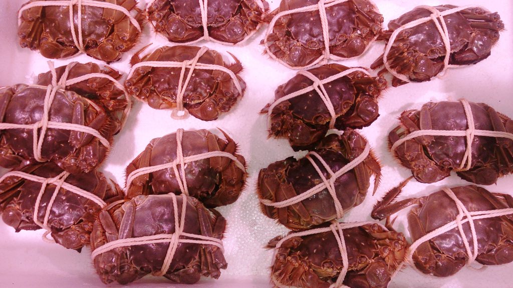 Shanghai Hairy Crab Season Aftermath: What to Eat in November