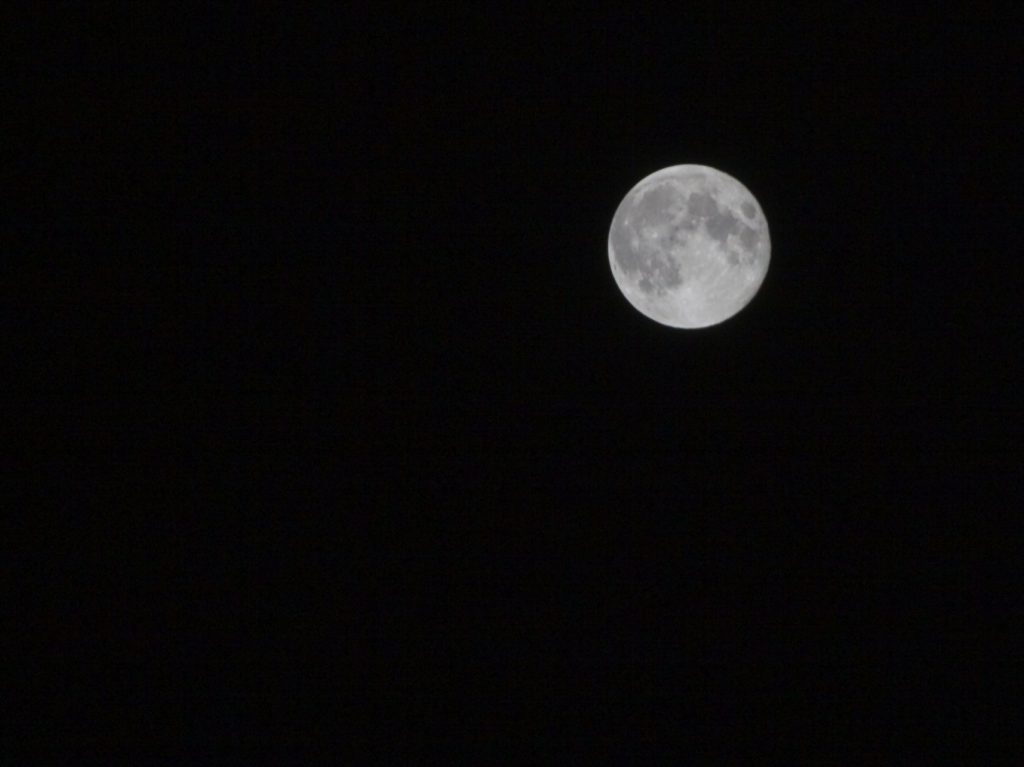 When My Neighbors Invited Me to Watch the Mid-Autumn Moon