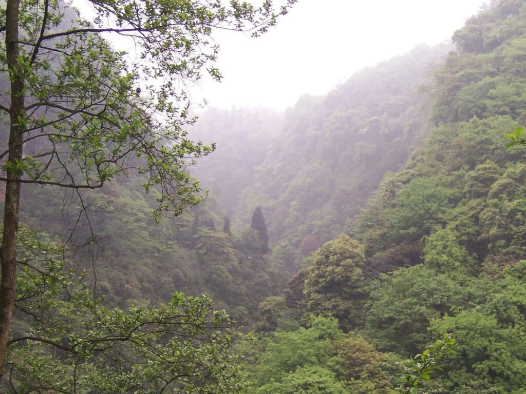White Dew (Bailu) 2026: What the Autumn Solar Term Means for Travelers