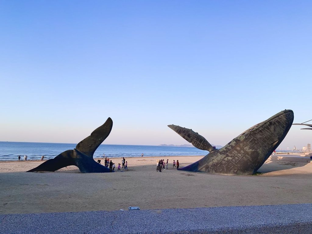 Yantai Seaside Autumn Weekend for First-Timers
