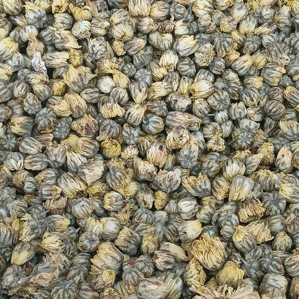 Close-up of dried chrysanthemum flower buds used to brew chrysanthemum tea