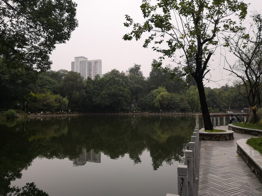 Path and greenery in Chengdu People's Park on a clear day