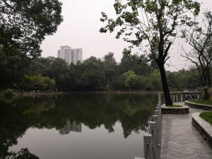 Path and greenery in Chengdu People's Park on a clear day