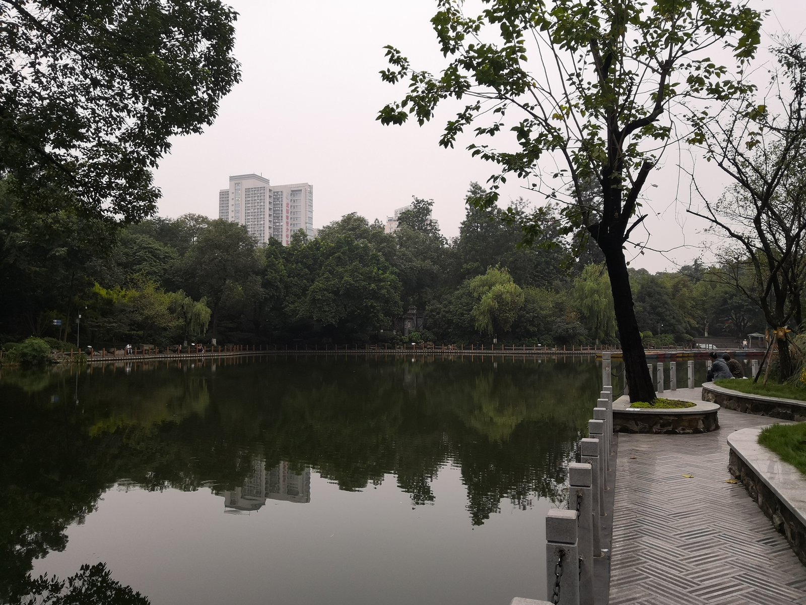 Path and greenery in Chengdu People's Park on a clear day
