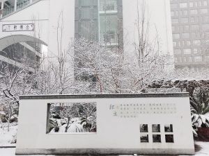 Snow-covered residential street in Beijing's Haidian District on a winter morning
