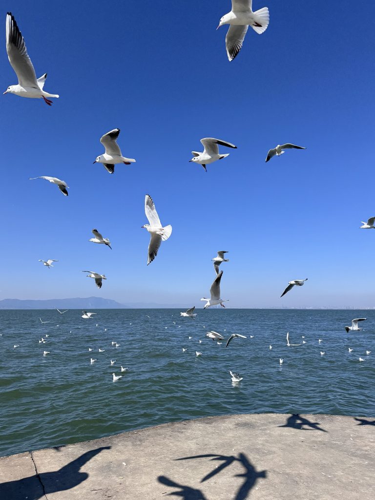 Dianchi Lake shore under clear autumn sky near Kunming, Yunnan