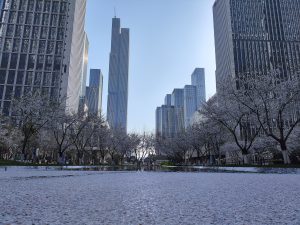 Nanjing city skyline and riverfront in soft daylight