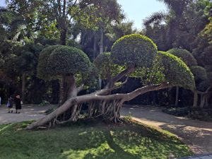 Green hills and park scenery at Nanning’s Qingxiu Mountain scenic area