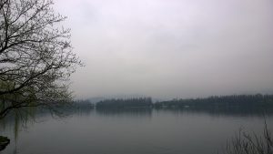 Misty morning at Hangzhou West Lake with willows and still water