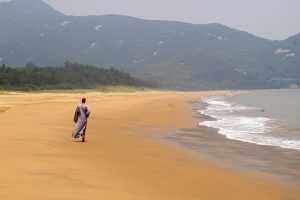 Temple roofs and coastal hills on Putuoshan island, Zhoushan