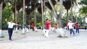 People practicing tai chi in a leafy Chinese park at morning